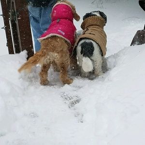 Meet your Posher, Mary